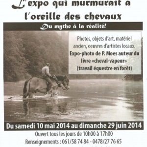 L expo qui murmurait a l oreille des chevaux L expo qui murmurait a l oreille des chevaux