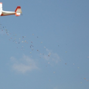 Aeroclub Les Faucons