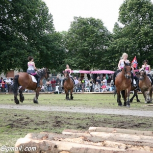 Fete du cheval, Hargnies