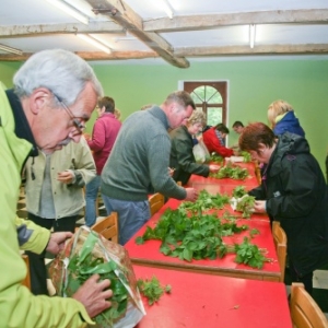 cuisine sauvage et jardinage eco-responsable