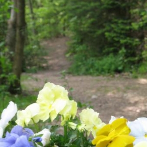 vacances-en ardenne vacances-en ardenne