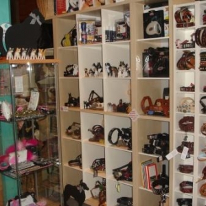 superbes colliers pour petits et grands chiens