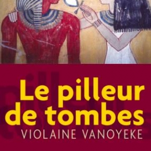 Le Pilleur de tombes  de Violaine Vanoyeke. Editions du Rocher.