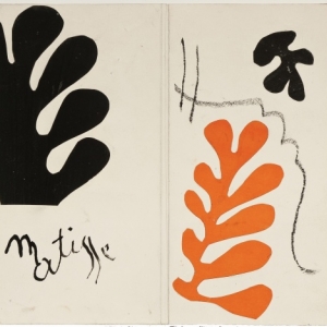 Musee Matisse