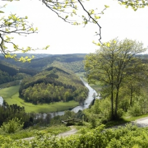 Bouillon