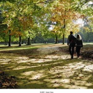 Bois de la Cambre de Bruxelles Bois de la Cambre de Bruxelles