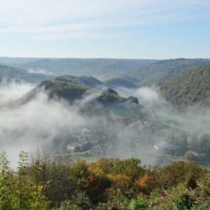 Bouillon