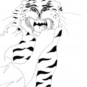 Illustration Dorothee Wierez