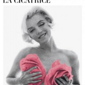 Marylin Monroe la cicatrice de Claude Delay  Editions Fayard.