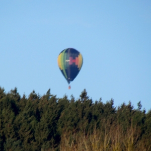 BELGIAN BALLOON TROPHY 2016 40