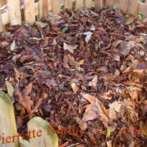 Tas de feuilles  en cours de ramassage
