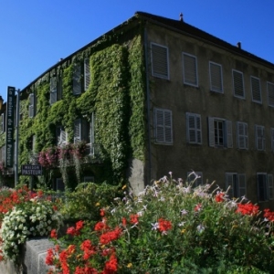 Maison de Pasteur, Arbois
