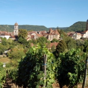 Vignoble Vignoble
