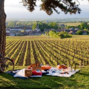 Le vin en Bourgogne: un patrimoine.