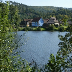 Etang de Baerenthal