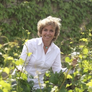 Domaine Bertagna, Vougeot Domaine Bertagna, Vougeot