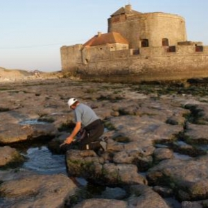 Fort d'Ambleteuse