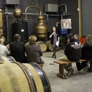 Cassis de Vedrenne Cassis de Vedrenne