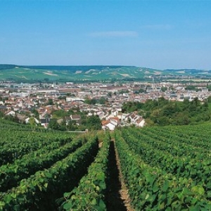 Epernay et le vignoble