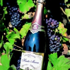 Champagne de Haute-Marne