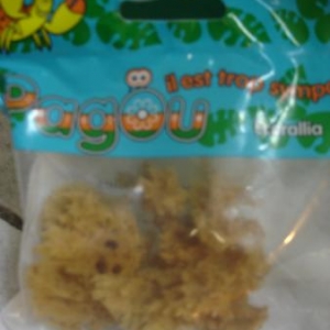 eponge pour abreuvoir pour bernard l'hermite eponge pour abreuvoir pour bernard l'hermite