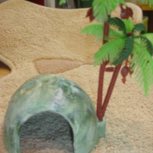 hutte pour bernard l'hermite hutte pour bernard l'hermite