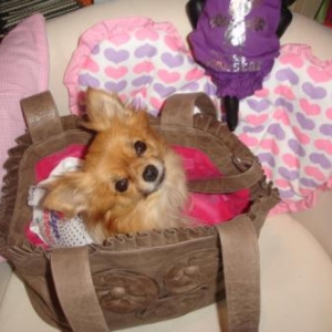 lola adore son sac lola adore son sac