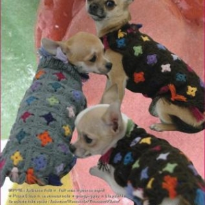 modele hippie modele hippie