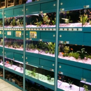 nos installations modernes