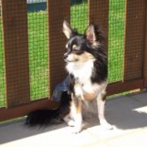 la famille de carine de eghezee