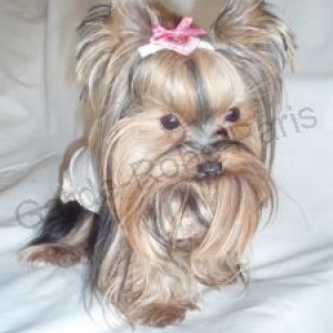 GARDE ROBE PARIS " CREATEUR " GARDE ROBE PARIS " CREATEUR "