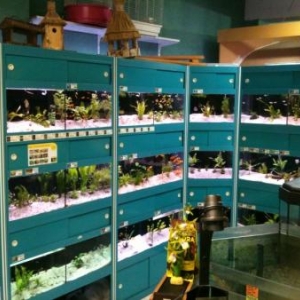 nos installations modernes