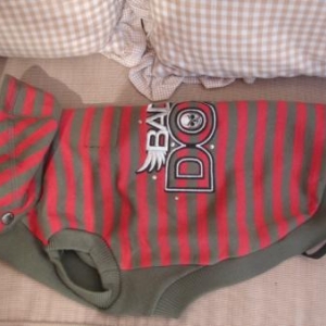 "L'univers animalier" : manteaux d'hiver "collection Wouapy"