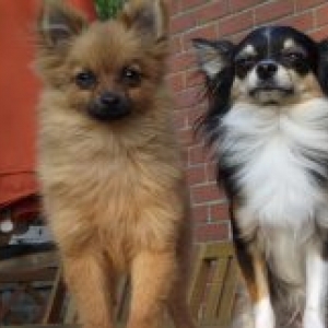 la famille de carine de eghezee