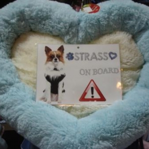 coussin tres doux en forme de coeur!