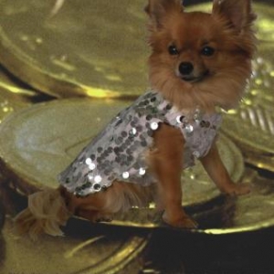 lola presente modele paco lola presente modele paco