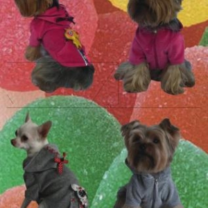 GARDE ROBE PARIS " CREATEUR " GARDE ROBE PARIS " CREATEUR "