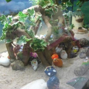 vue d'ensemble de nos bernard l'hermite vue d'ensemble de nos bernard l'hermite