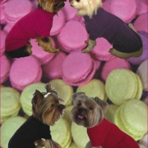 GARDE ROBE PARIS " CREATEUR " GARDE ROBE PARIS " CREATEUR "