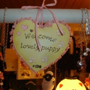 grand choix de colliers fantaisies