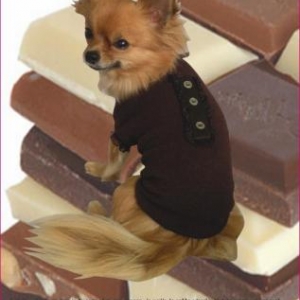 GARDE ROBE PARIS " CREATEUR " GARDE ROBE PARIS " CREATEUR "