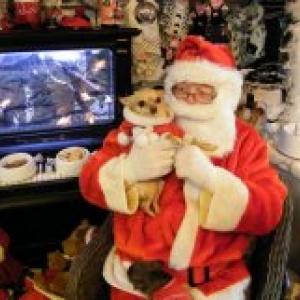 chanel avec papa Noel ,les chichis de carinne de Eghezee 