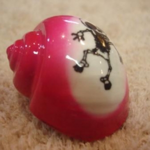 coquille de rechange peinte pour Pagou coquille de rechange peinte pour Pagou