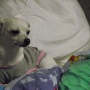 la famille de carine de eghezee