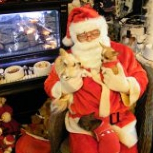 kenza et nina avec papa Noel ,les chichis de carinne de Eghezee 