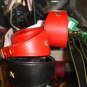 Lévriers - collections spéciales 