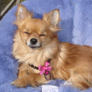 lola prend son premier bain de soleil