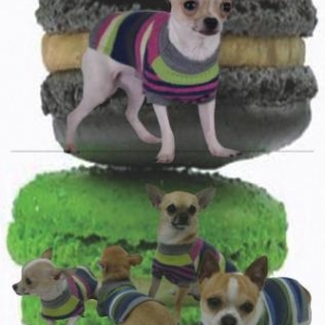 GARDE ROBE PARIS " CREATEUR " GARDE ROBE PARIS " CREATEUR "