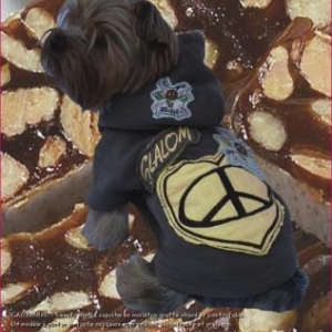 modele carambar modele carambar