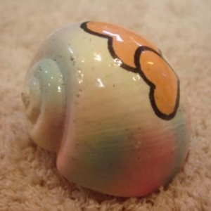 coquille de rechange peinte pour Pagou coquille de rechange peinte pour Pagou